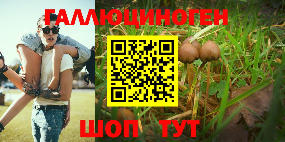 Белая Калитва  Галлюциногенные грибы MAGIC MUSHROOMS  Галлюциногенные грибы мухоморы  Вход с VPN 