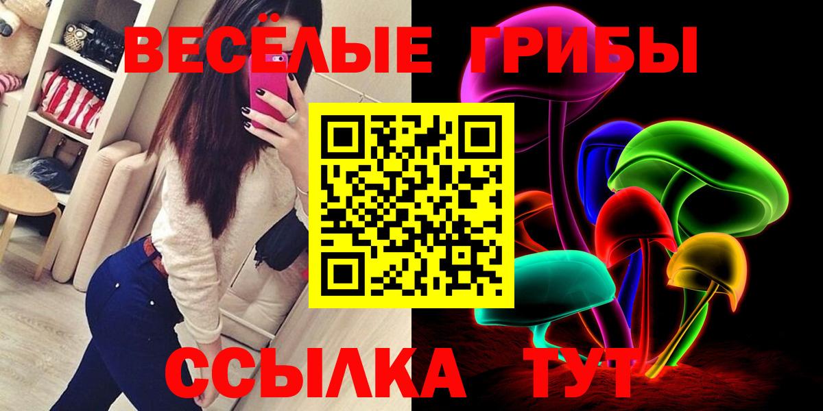 Галлюциногенные грибы Psilocybe Белая Калитва